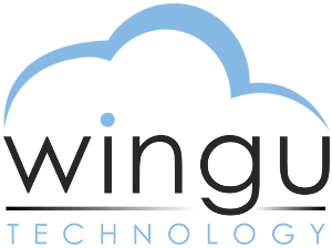 Wingu Technology